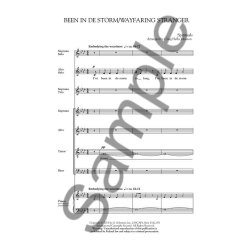 Craig Hella Johnson: Been In De Storm/Wayfaring Stranger