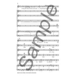 Craig Hella Johnson: Been In De Storm/Wayfaring Stranger