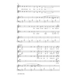 Doug Brandt: The White Owl