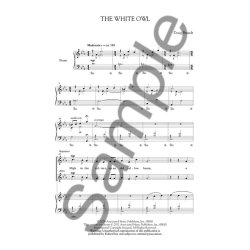 Doug Brandt: The White Owl
