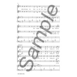 Doug Brandt: The White Owl