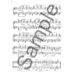 Schirmer's Library Of Musical Classics Volume 2121: The Romantic Era Piano Album