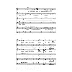 Scott MacMillan: The Beagle And The Beluga And The Eagle's Fine Times