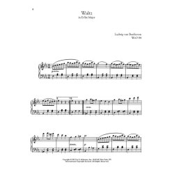 95 Waltzes By 16 Composers For Piano