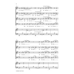 Carol Barnett: Tagore's Lost Star