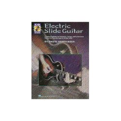 Electric Slide Guitar
