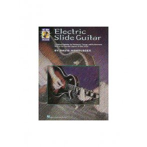 Electric Slide Guitar