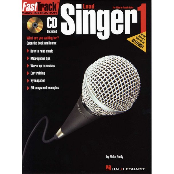 Fast Track: Lead Singer - Book One