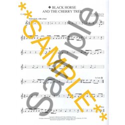 Instrumental Play-Along: Pop Hits - Clarinet