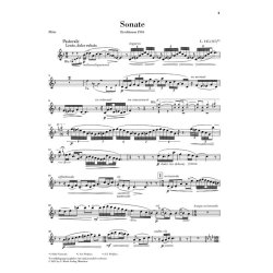 Claude Debussy: Sonata For Flute, Viola And Harp