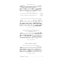 W. A. Mozart: Violin Sonatas - Fragments