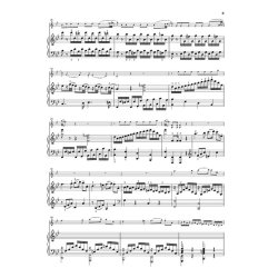 W. A. Mozart: Violin Sonatas - Fragments