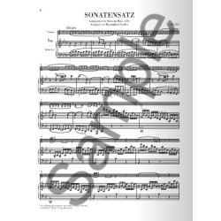 W. A. Mozart: Violin Sonatas - Fragments