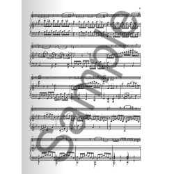 W. A. Mozart: Violin Sonatas - Fragments