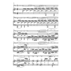 Camille Saint-Sans: Sonata No.1 In C Minor Op.32