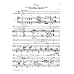 Fr&eacute;d&eacute;ric Chopin: Piano Trio In G Minor Opus 8