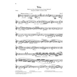 Fr&eacute;d&eacute;ric Chopin: Piano Trio In G Minor Opus 8