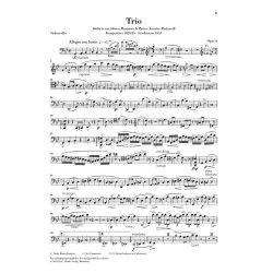 Fr&eacute;d&eacute;ric Chopin: Piano Trio In G Minor Opus 8