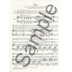 Fr&eacute;d&eacute;ric Chopin: Piano Trio In G Minor Opus 8