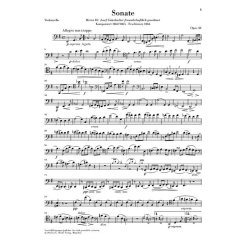 Johannes Brahms: Sonata In E Minor Op. 38