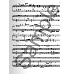 C.Ph.E. Bach: Flute Concerto In D Minor