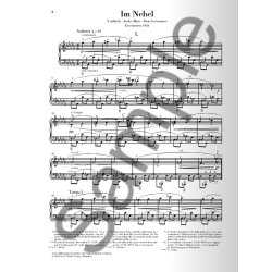 Leos Jan&aacute;cek: In The Mists