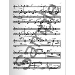 Leos Jan&aacute;cek: In The Mists