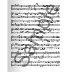 Ludwig Van Beethoven: Duo For Violin And Violoncello (Fragment)