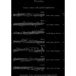 J.S. Bach: Toccatas BWV 910-916