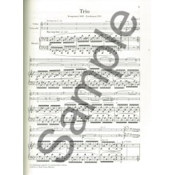 Ernest Chausson: Piano Trio In G Minor Op. 3