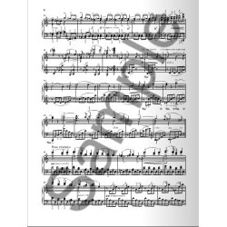 Johannes Brahms: Piano Sonata In C Op. 1