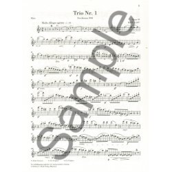 Felix Mendelssohn Bartholdy: Piano Trio Op. 49 (Additional Flute Part)