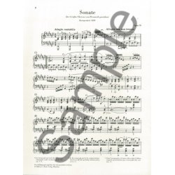 Ludwig Van Beethoven: Piano Sonata No. 24 In F Sharp Op. 78 (&Agrave; Th&eacute;r&egrave;se)