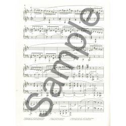 Fr&eacute;d&eacute;ric Chopin: Scherzo In B Minor Op. 20