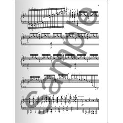 Camille Saint-Sa&euml;ns: Piano Concerto No. 2 In G Minor Op. 22