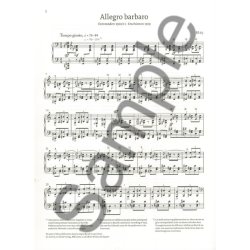 B&eacute;la Bart&oacute;k: Allegro Barbaro