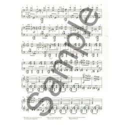 B&eacute;la Bart&oacute;k: Allegro Barbaro