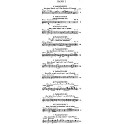 Ludwig van Beethoven: Variations for Piano, Volume I