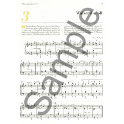 Johannes Brahms: Am Klavier - 15 Bekannte Originalst&uuml;cke (German Language Edition)