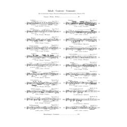 Frederic Chopin: Nocturnes