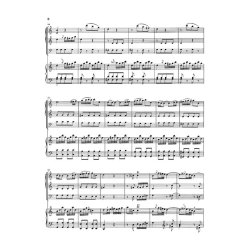 Franz Joseph Haydn: Concerto for Organ (Harpsichord) with String instruments C major Hob. XVIII:10 (First Edition)