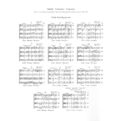 Franz Joseph Haydn: String Quartets Book I