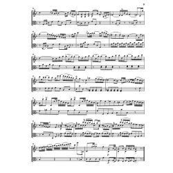 Franz Joseph Haydn: Sechs Sonaten Fur Violine Und Viola