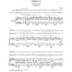 Johannes Brahms: Piano Trios