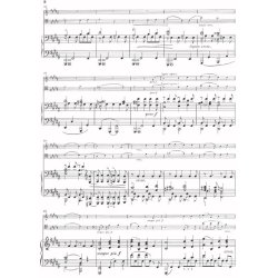 Johannes Brahms: Piano Trios