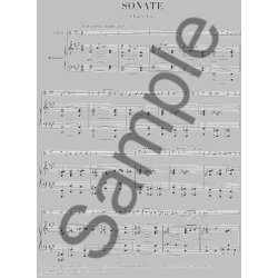 Csar Franck: Sonata For Piano And Violin In A