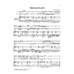 J.S. Bach: Triosonate Und Canon Perpetuus Aus Dem Musikalischen Opfer