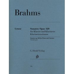 Johannes Brahms: Sonate Op.120 No.1 (Clarinet)
