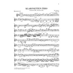 Johannes Brahms: Trio In A Minor Op.114