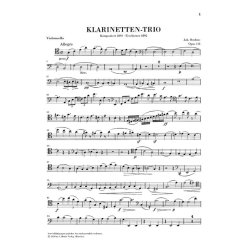 Johannes Brahms: Trio In A Minor Op.114